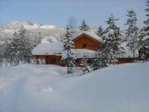 Huurhuis Noorwegen Fjord Home