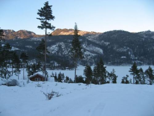 Uitzicht Huurwoning Lillesand Noorwegen Fjordhome winter